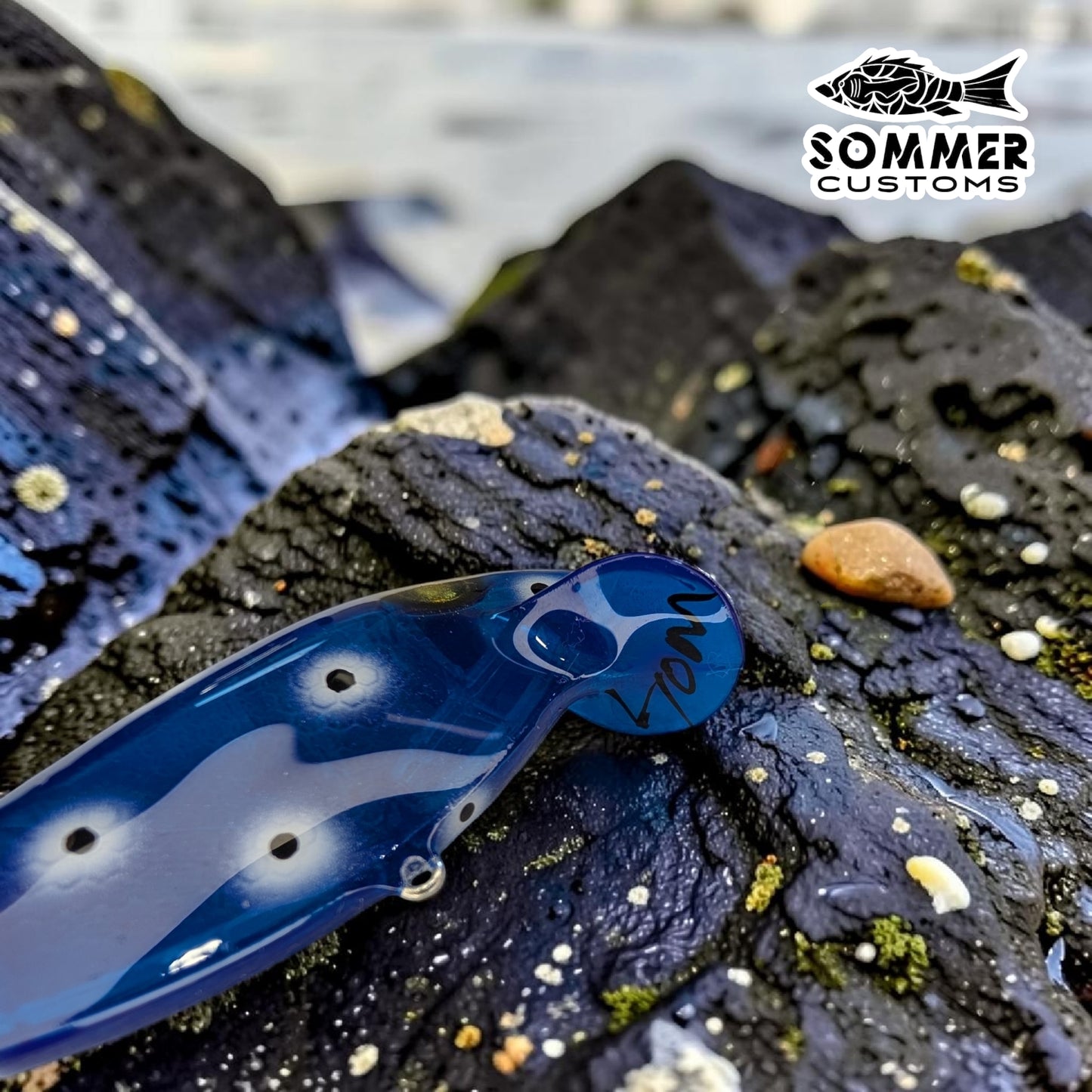 Sommer Customs ThinFin #8