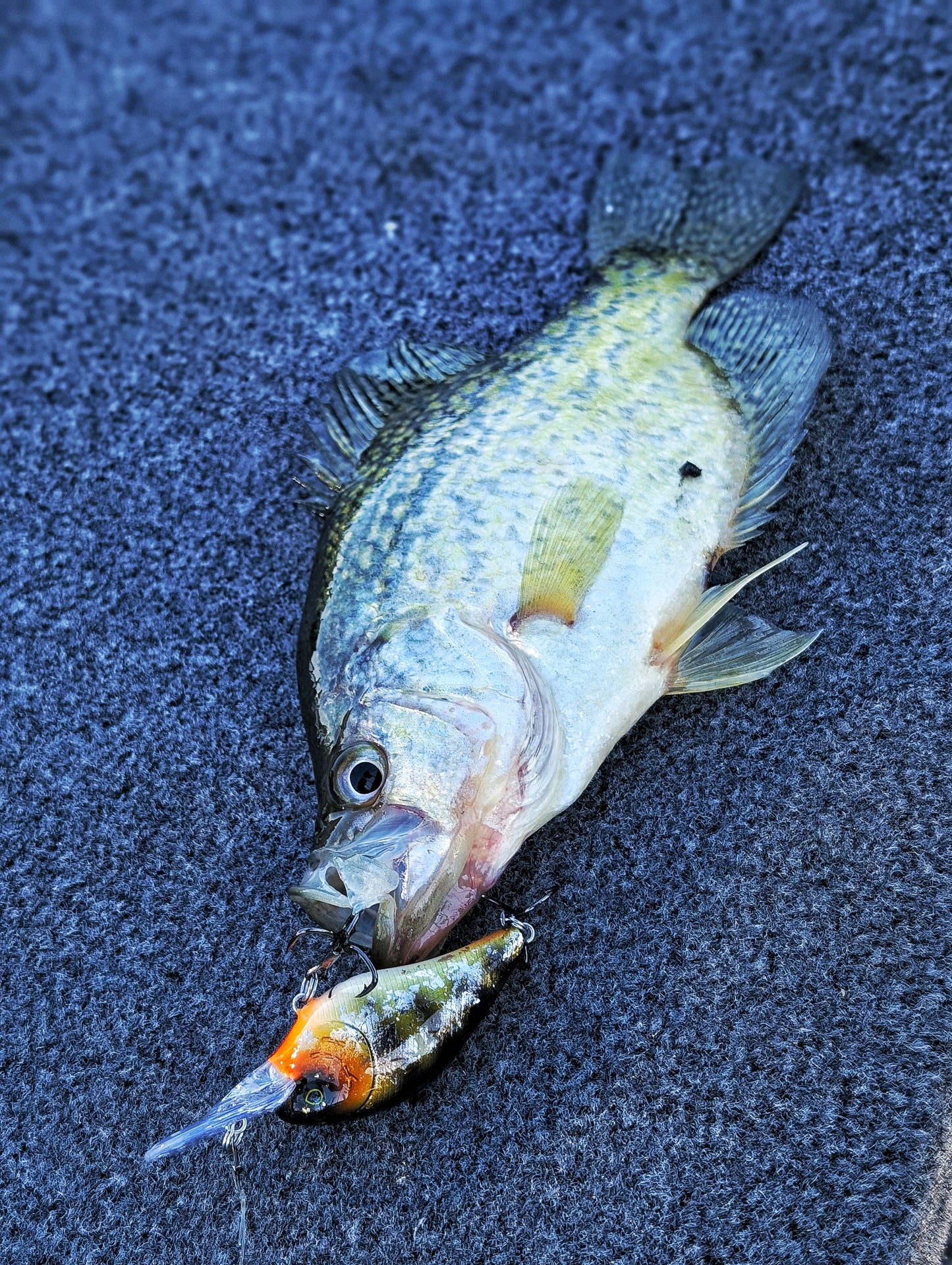 Sommer Customs Neocrank