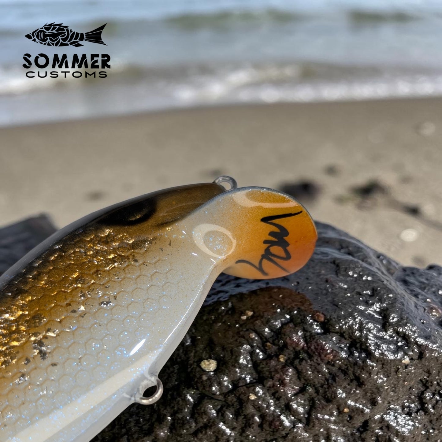 Sommer Customs ThinFin #8
