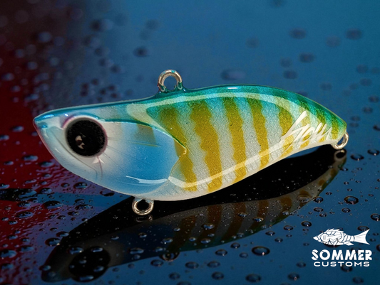 Sommer Customs Shakcrank