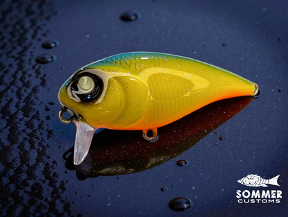 Sommer Customs Lilwake