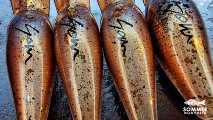 Sommer Customs Geocrank