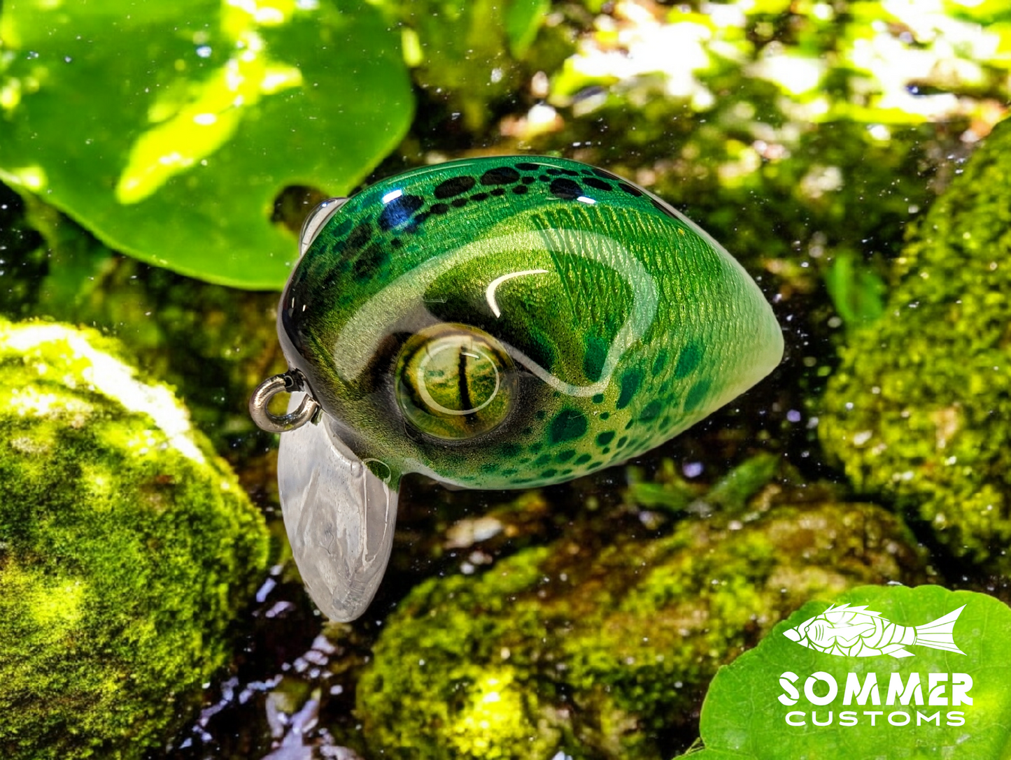 Sommer Customs Babwake