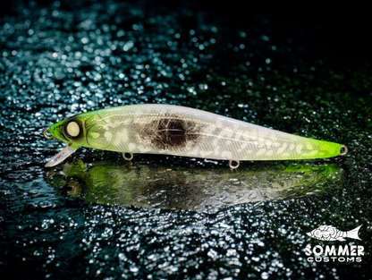 Sommer Customs Swimtrap