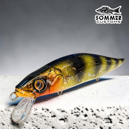 Sommer Customs Swimtrap