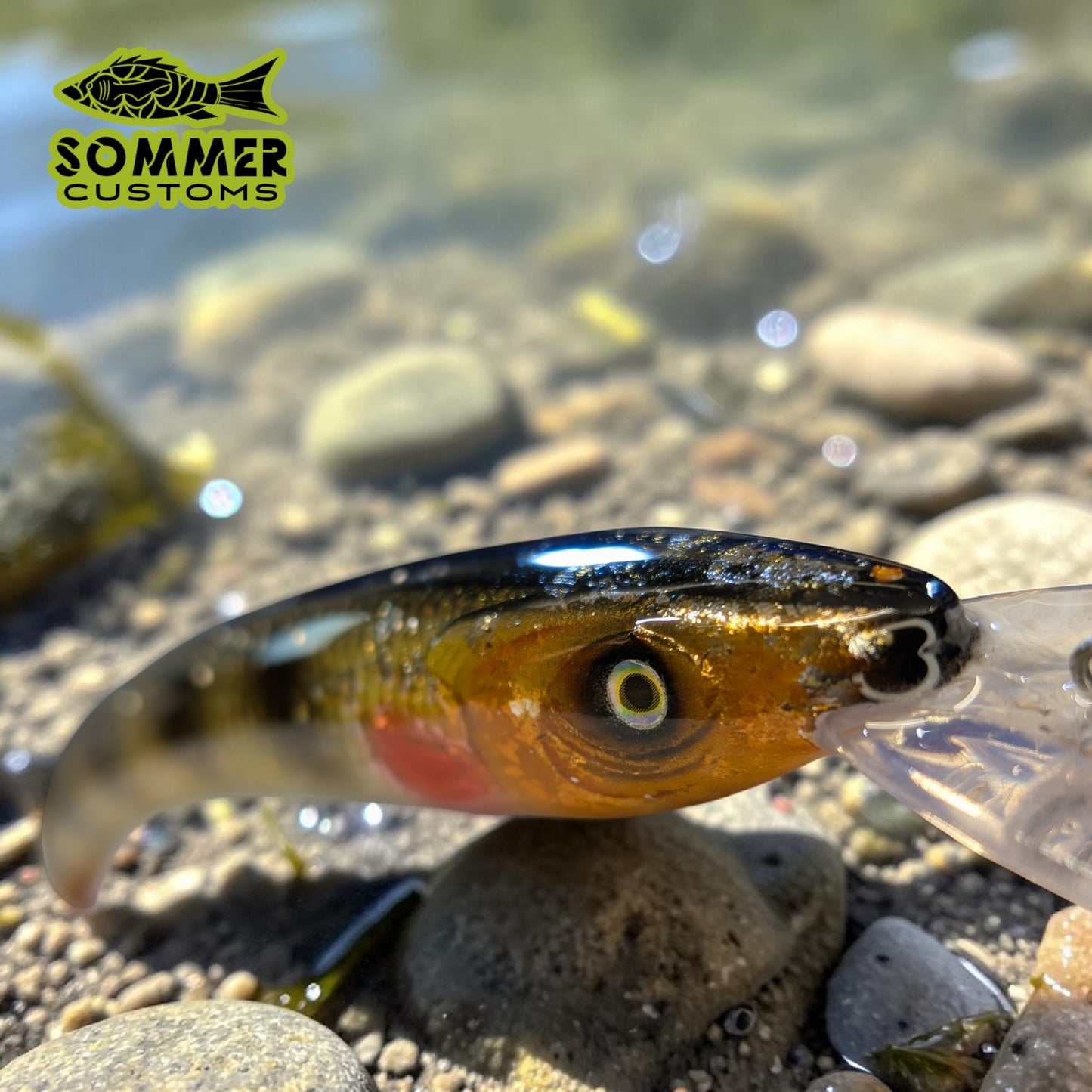 Sommer Customs Swimcrusher
