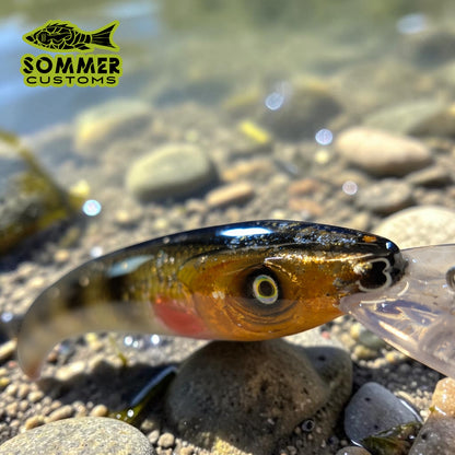 Sommer Customs Swimcrusher