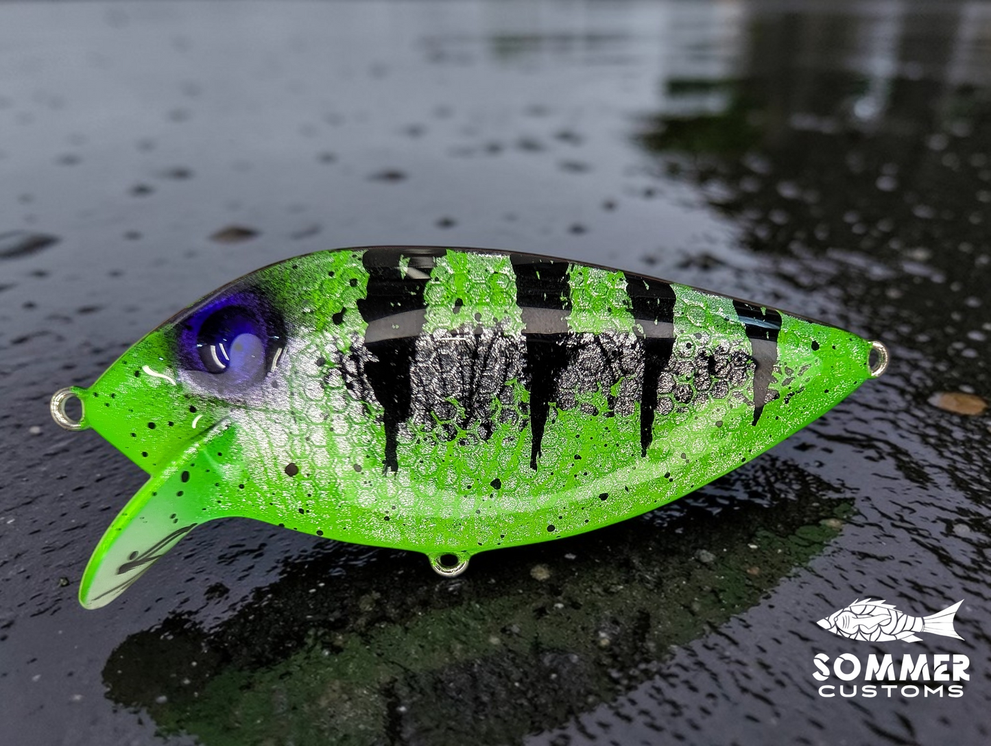 Sommer Customs ThinFin #8