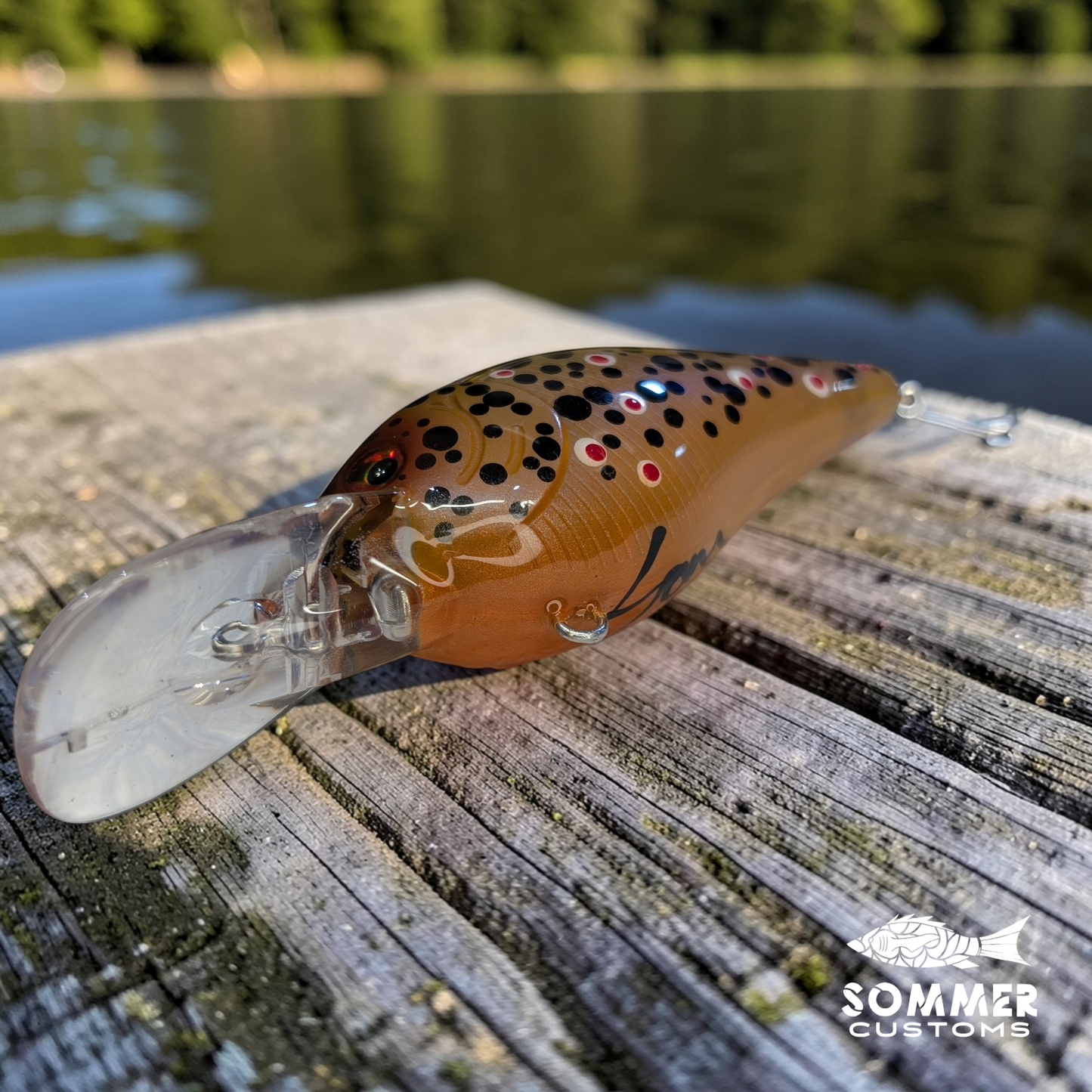Sommer Customs Neocrank