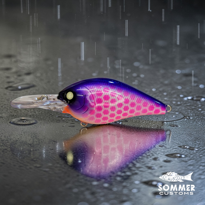 Sommer Customs Neocrank