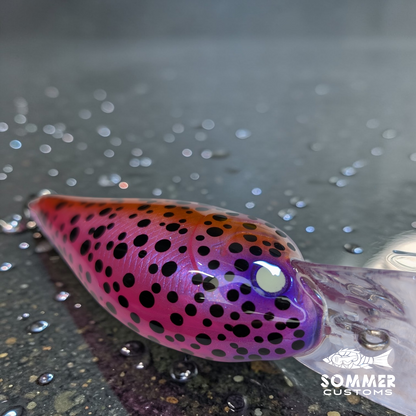 Sommer Customs Neocrank