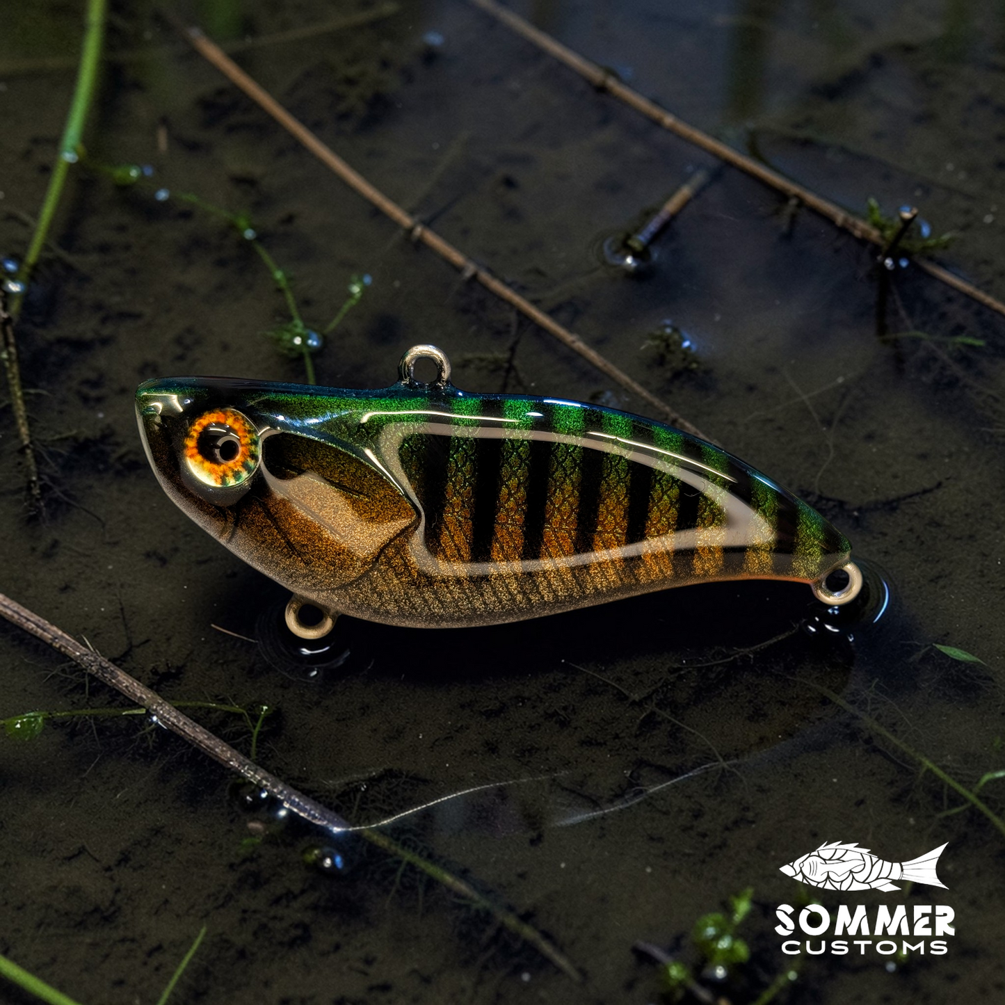 Sommer Customs Shakcrank