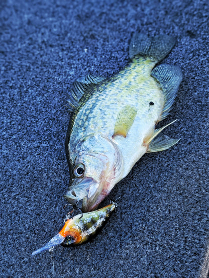 Sommer Customs Neocrank