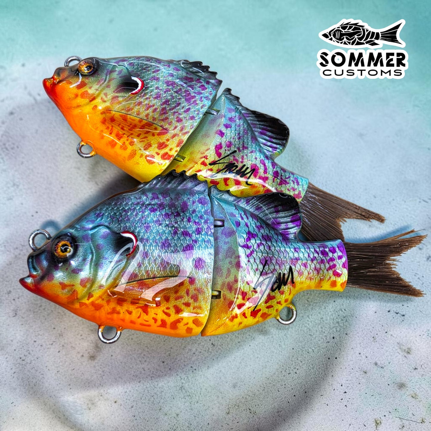Sommer Customs Striketail