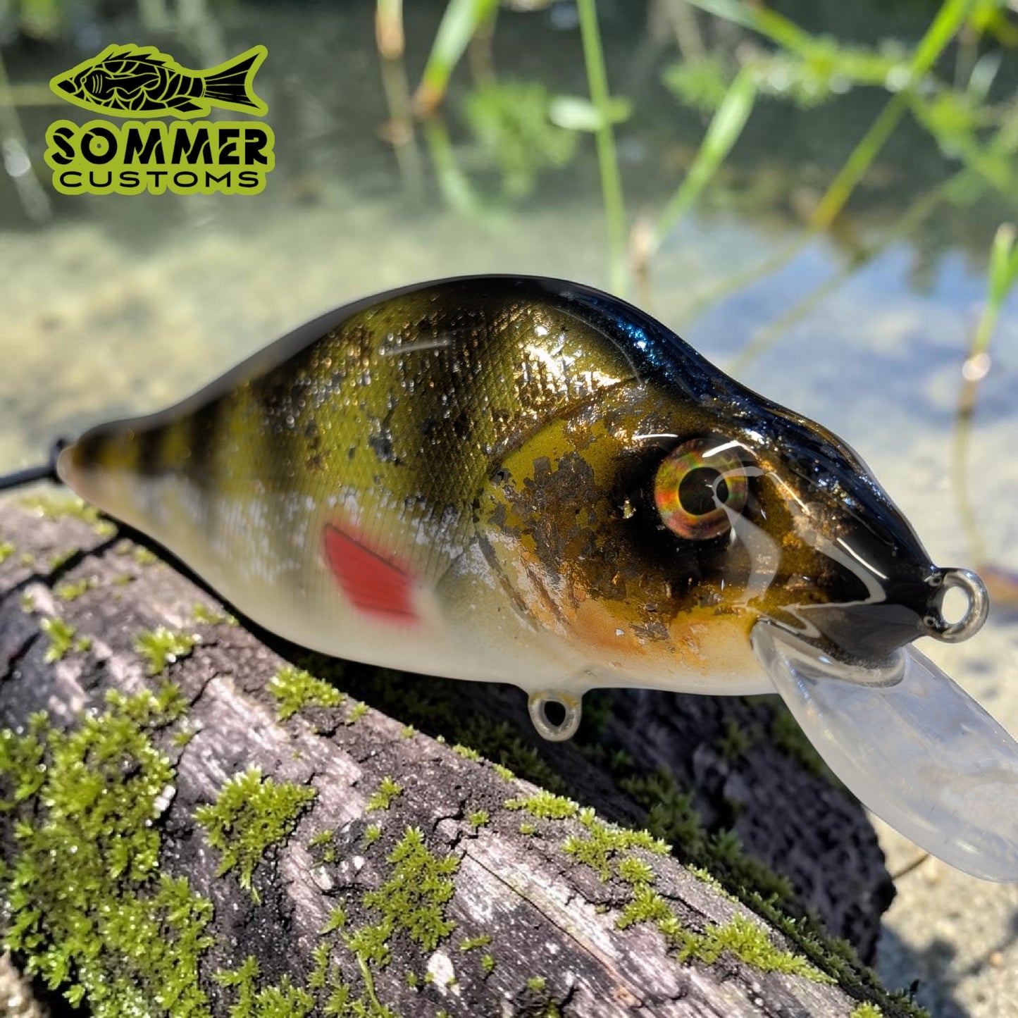 Sommer Customs Killerperch