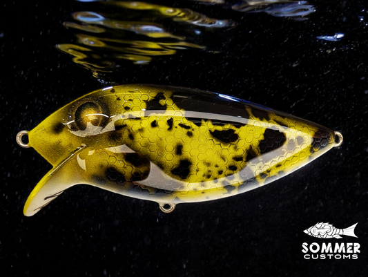 Sommer Customs ThinFin #8