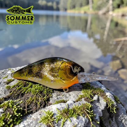 Sommer Customs Neocrank