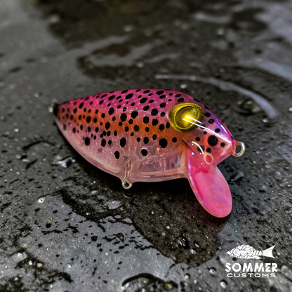 Sommer Customs ThinFin #8