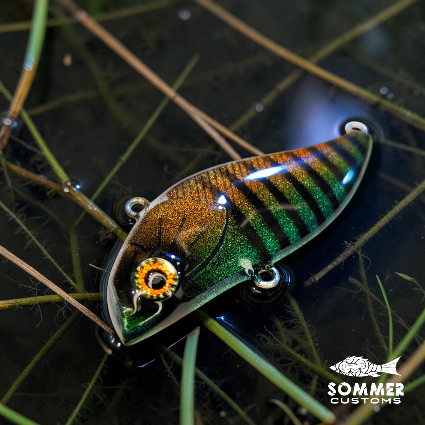 Sommer Customs Shakcrank
